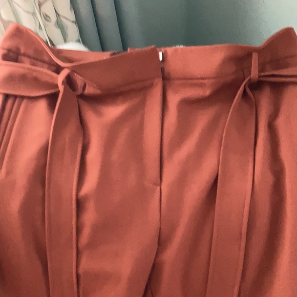 Halogen (Nordstrom) size 18 rust pant - Picture 9 of 11